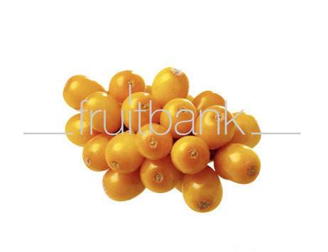 Fruitbank Foto: Sanddorn Beeren UK041005