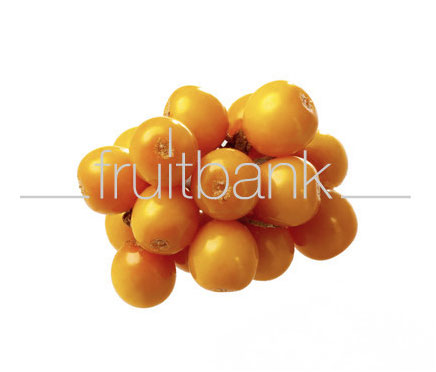Fruitbank Foto: Sanddorn Beeren UK041006