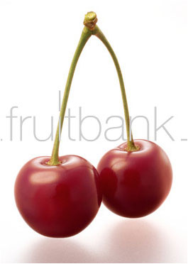 Fruitbank Foto: Sauerkirschen-Paar mit Stiel UK033016