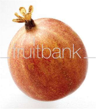 Fruitbank Foto: Rote Stachelbeere UK034017