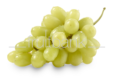 Fruitbank Foto: Grüne Weintrauben mit Wassertropfen HK046008