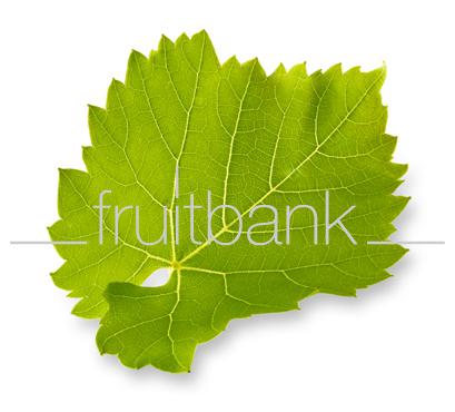 Fruitbank Foto: Weinblatt