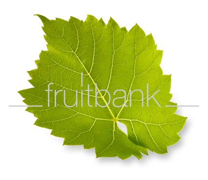 Fruitbank Foto: Weinblatt