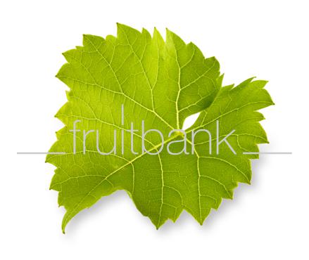 Fruitbank Foto: Weinblatt