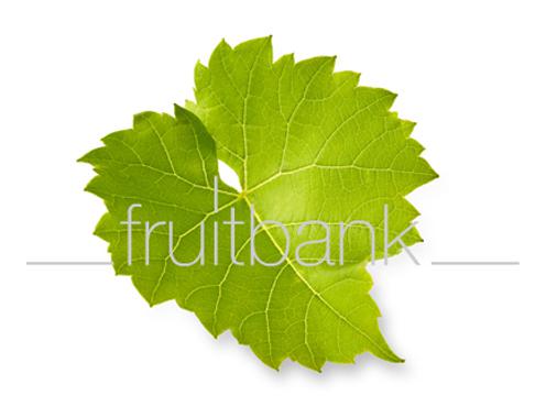 Fruitbank Foto: Weinblatt