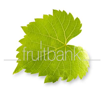 Fruitbank Foto: Weinblatt