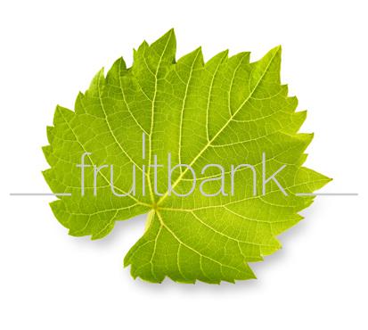 Fruitbank Foto: Weinblatt