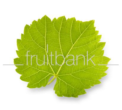 Fruitbank Foto: Weinblatt