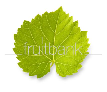 Fruitbank Foto: Weinblatt