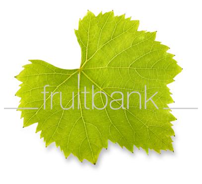 Fruitbank Foto: Weinblatt